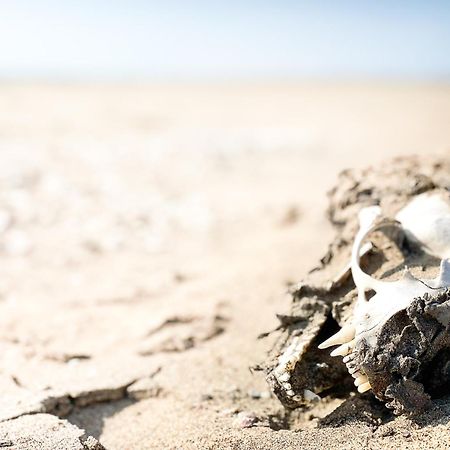 Skeleton Beach Backpackers Swakopmund Εξωτερικό φωτογραφία